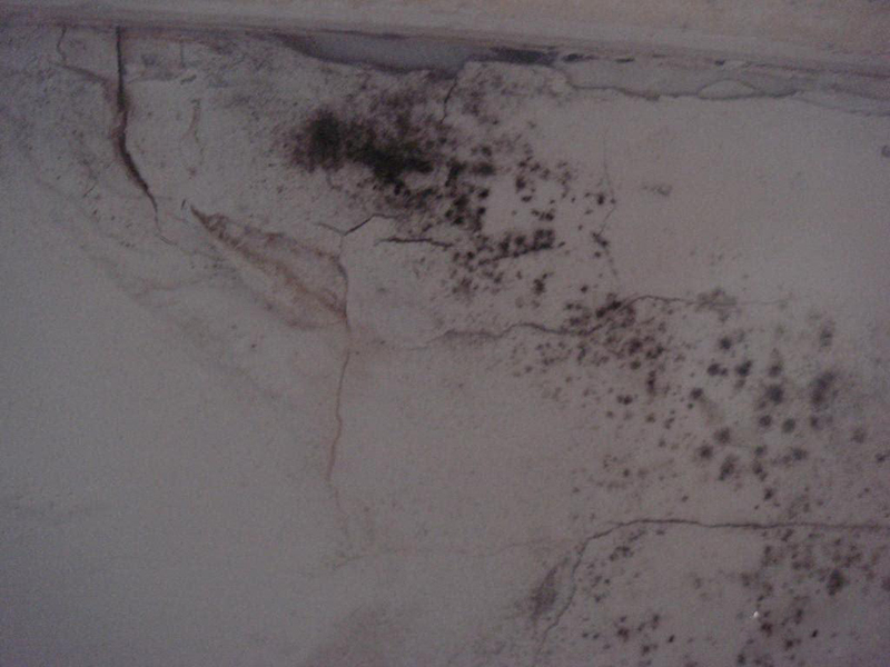 高层外墙渗水刷防水能保多久,高层外墙渗水补漏的最好方法