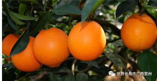 脱贫大变化美丽乡村展新颜,脱贫乡村翻天覆地的变化