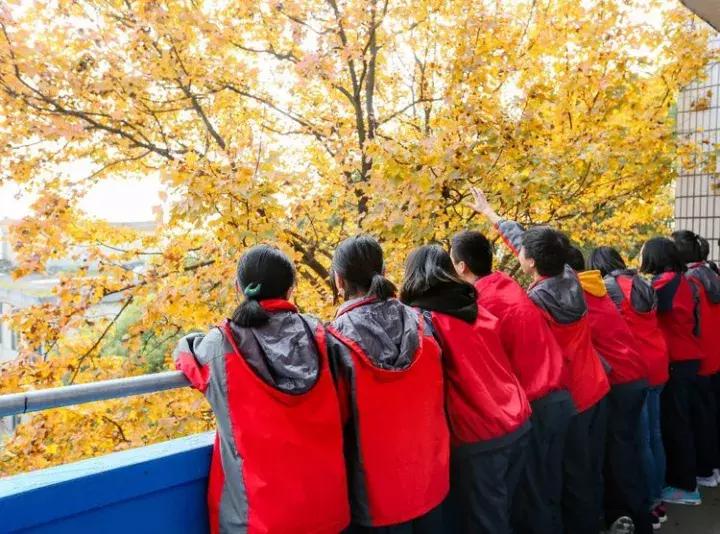 江西省上栗中学排名,江西省教育厅上栗中学