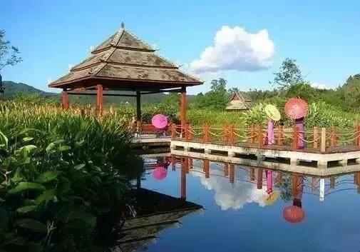 多彩的西双版纳,多彩云南版纳