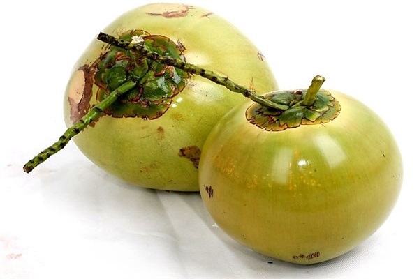 去三亚带什么特产好一点,三亚旅游有什么特产可以带回来