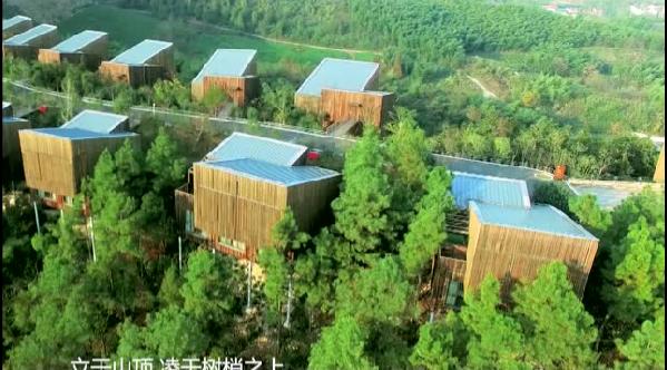 离城市不远靠自然很近,离城市不远却离自然很近完整版