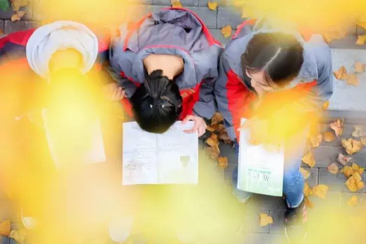 江西省上栗中学排名,江西省教育厅上栗中学