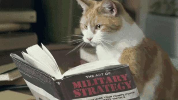 万万没想到!它低调了450多年,却因上海迪士尼一夜间火遍全国!