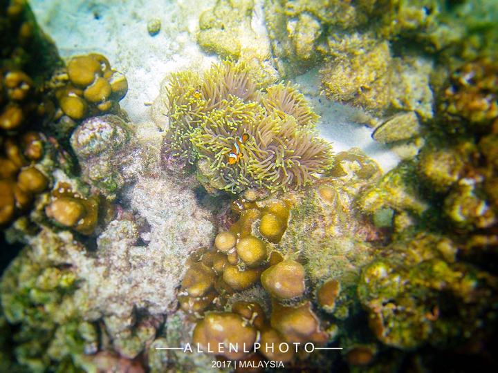 兰卡威环岛游玩攻略,兰卡威自驾环岛一圈多少时间