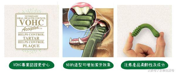 狗狗牙齿黄口臭怎么办,狗狗牙齿保健四步走