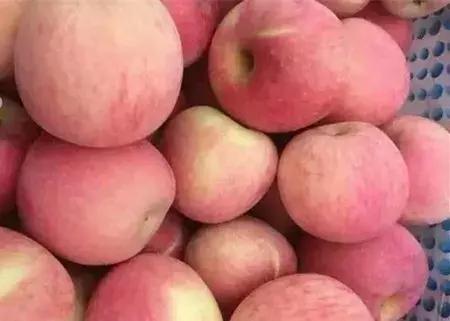 最新农产品供求信息,大农圈最新文章