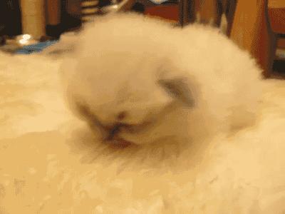 4毛钱一片的面膜,一片4元面膜