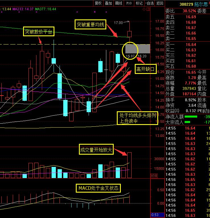 一年抓100个涨停板战法,风口涨停板战法