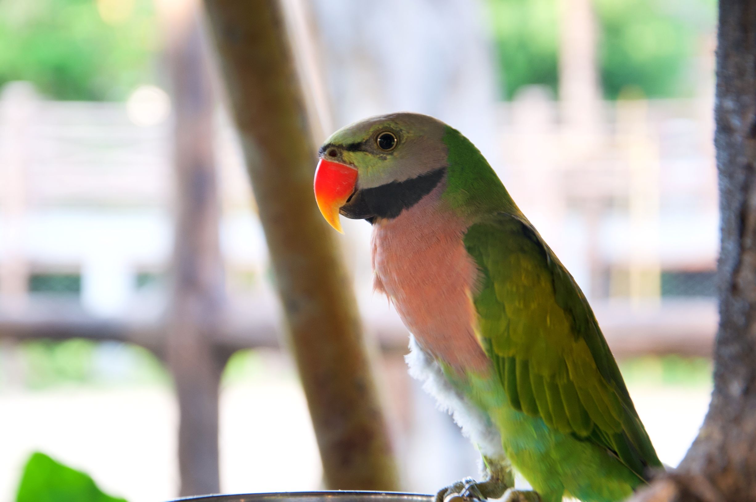 三亚4天3晚海景推荐,颠覆你对海南印象