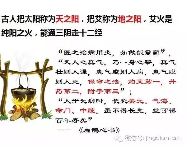 中医名家艾灸视频全集,中医艾灸知识100例