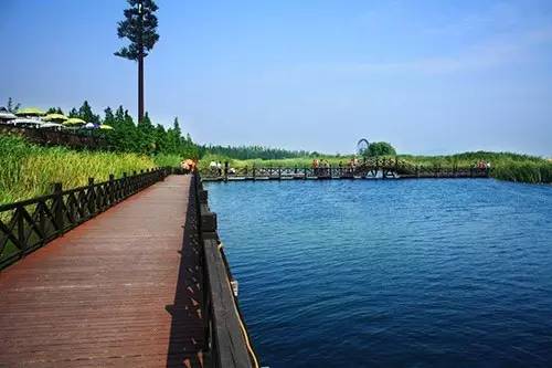 苏州人别再花冤枉钱了，这60个事项全！免！费！