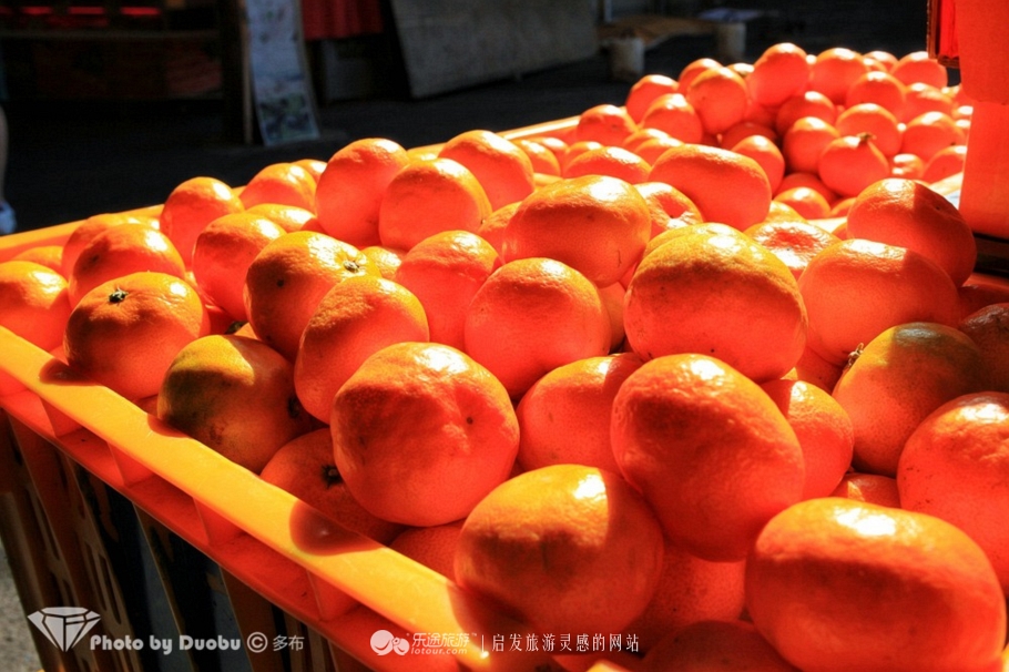 瀵诲疂璧拌繘鍝簺鍩庡競,瀵诲疂澶栧浗娴峰矝