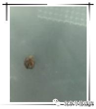 中医男科清道夫,泌尿外科经典案例