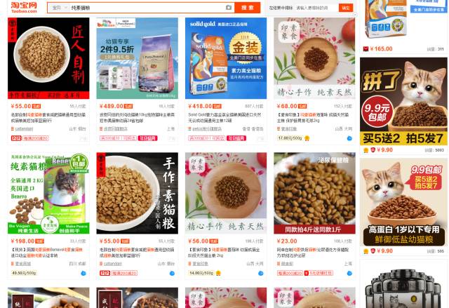 猫做错了什么,猫做错了什么要亲吻