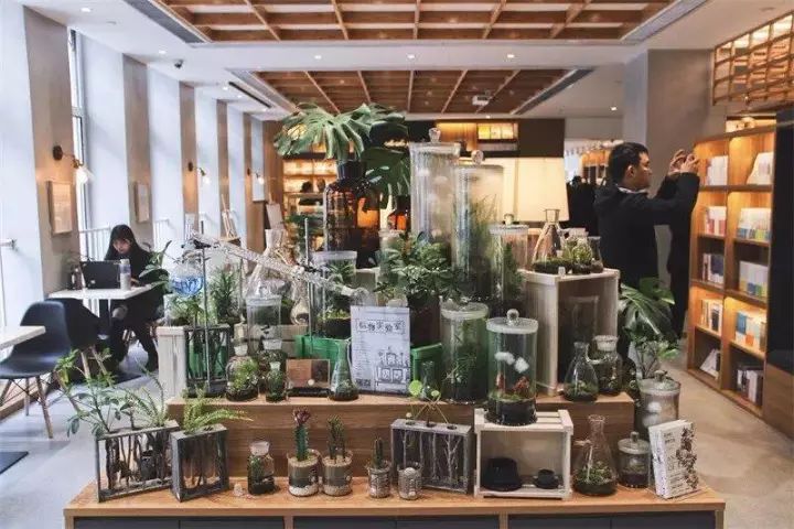 24小时、以旧换新……南京这8大特色书店，去了就不想离开