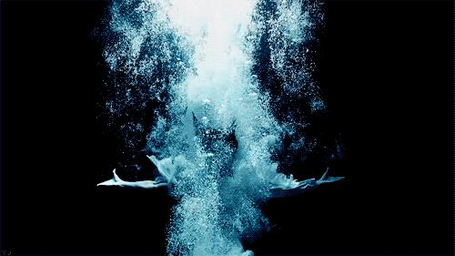 杭州自然现象,西湖十大奇怪现象