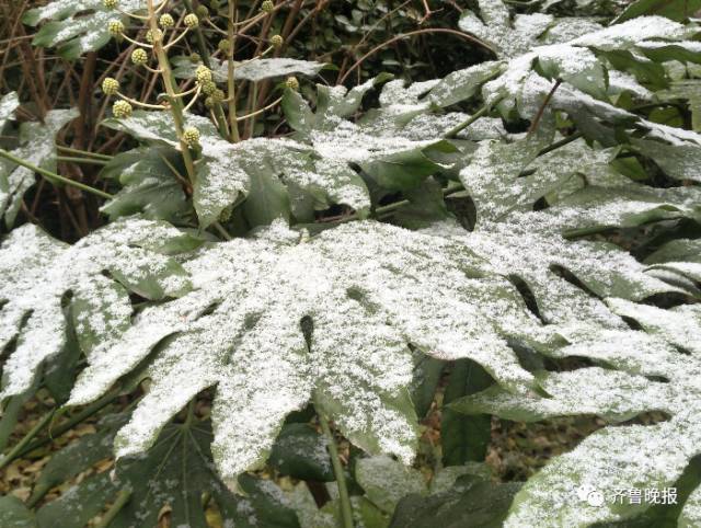 下周最低气温消息,下周的最低气温和最高气温是多少