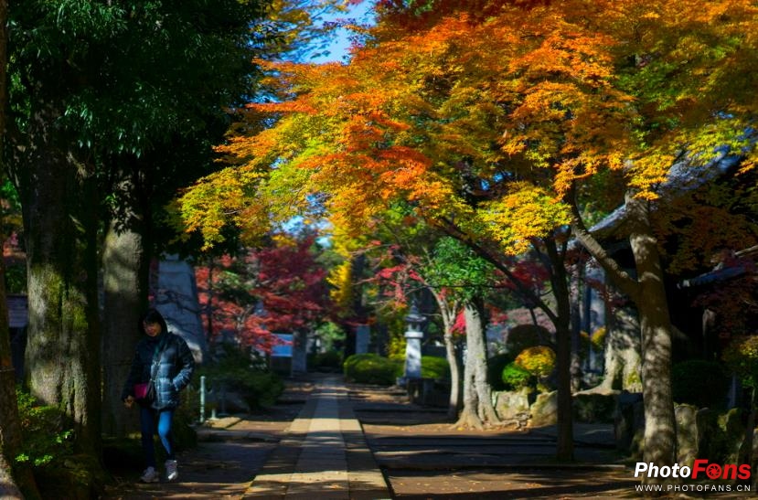 eosm6杩炵画鎷嶆憚,浣宠兘eosm6