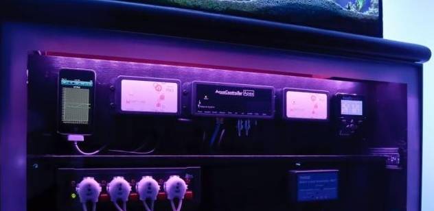 新手玩海缸教程,初学者玩海缸视频