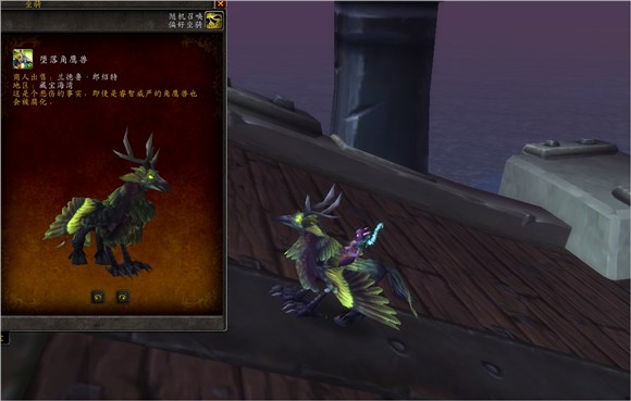 魔兽世界集换式卡牌坐骑,魔兽世界卡牌飞龙坐骑