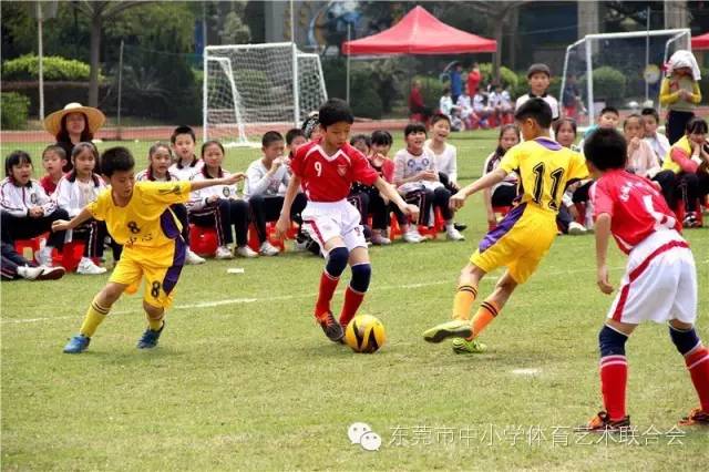 2023年东莞市小学生足球赛,厚街镇第六届小学生足球联赛