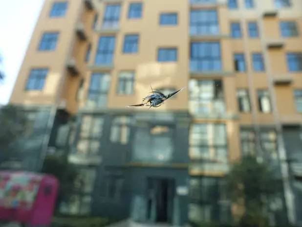 别再被4s店忽悠,别再被4s店修理厂忽悠了