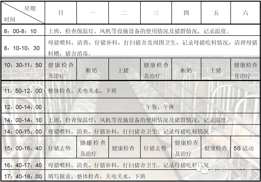 猪场分娩舍的管理要点,猪场分娩舍有哪些重点