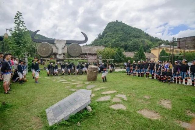 黔南原始森林风景,遇见森林风景