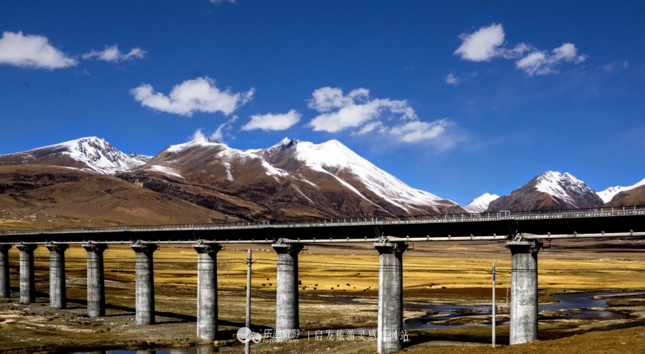 逃离图书馆,逃离方块