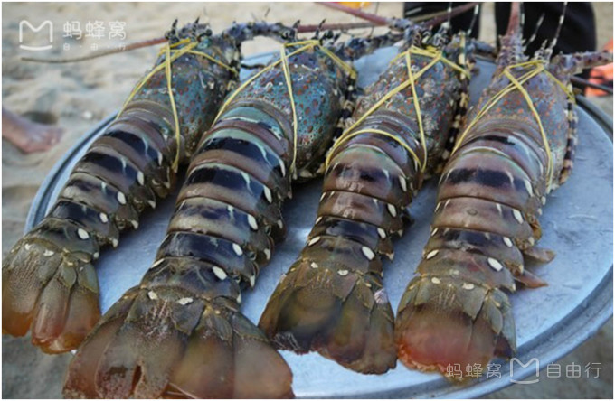 哈尔滨直飞越南芽庄,哈尔滨到越南芽庄旅游