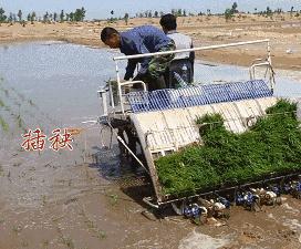了不起！他的猕猴桃拿下电商一千二百万大单！