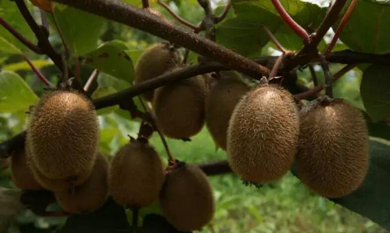 中国最牛的一个省会,中国最牛的一个县城