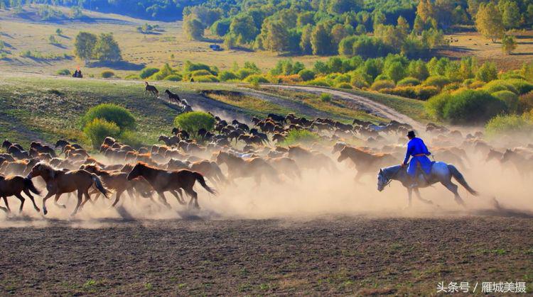 坝上草原奔马图片,坝上奔马摄影