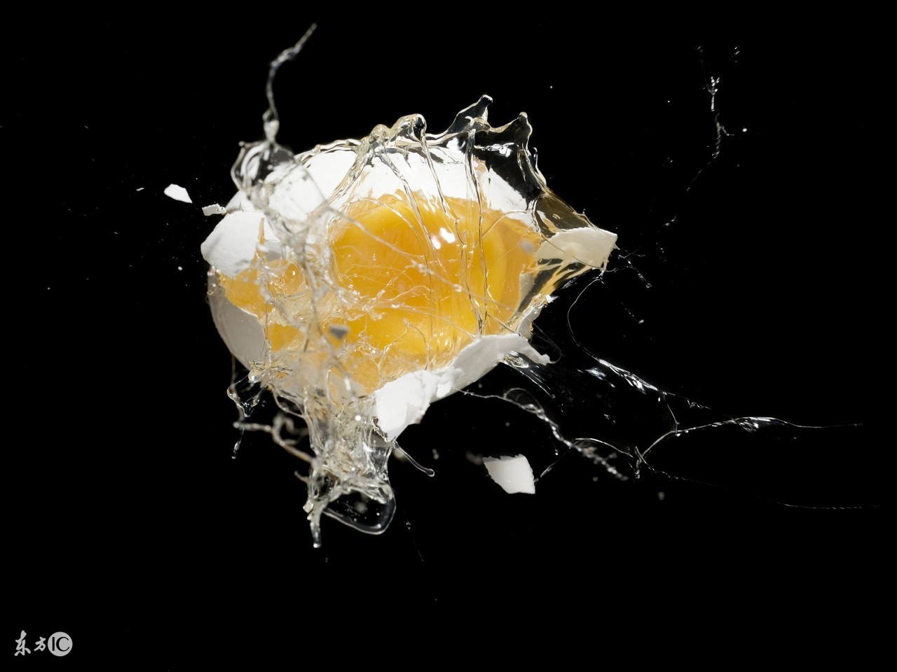 食客吃鸡蛋在嘴里爆炸，告上法庭法官百思不得其解