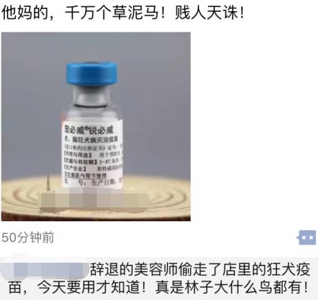 宠物爱心骗局新套路,宠物圈骗局大揭秘