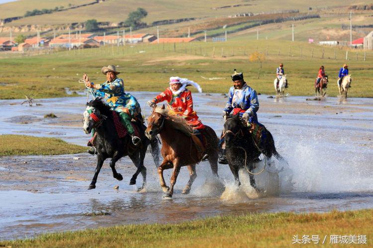 坝上草原奔马图片,坝上奔马摄影
