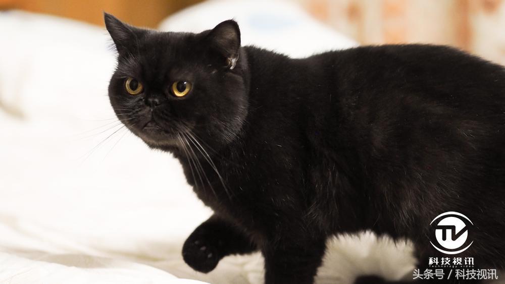 奥林巴斯45mm1.8镜头测评,奥林巴斯14-150ii镜头评测