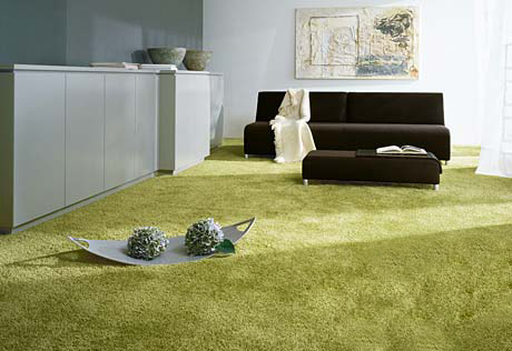 地毯选购技巧视频,现代风格地毯怎么选购的