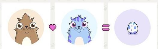 全球最贵29只猫,最贵的猫10万一只