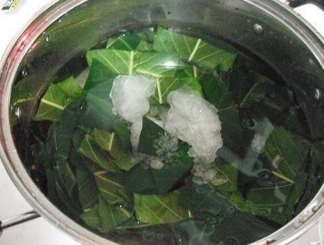 宝宝喉咙有痰，咳嗽太难受睡不着？几片叶子煮碗水，不再复发！