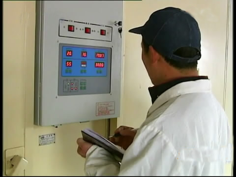 斗鸡苗养殖方法,斗鸡的养殖视频大全