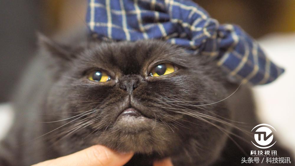 奥林巴斯45mm1.8镜头测评,奥林巴斯14-150ii镜头评测