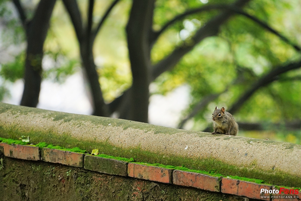 佳能eos800d摄影视频,相机初学者推荐佳能800d