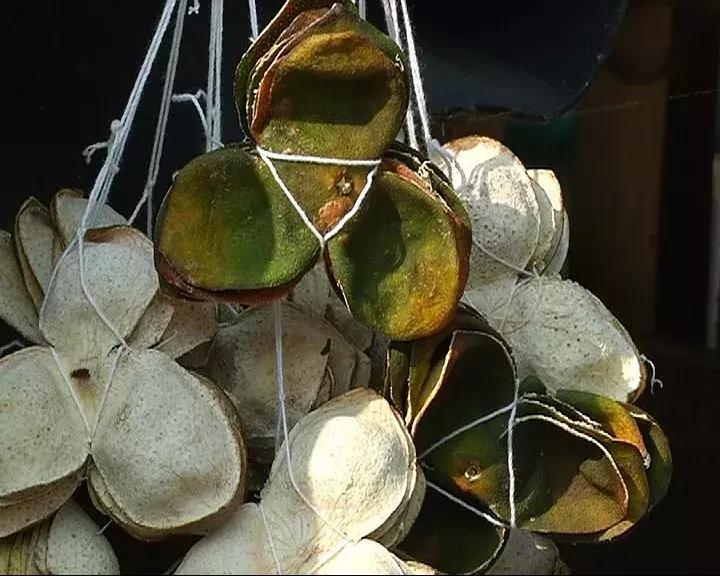 清远龙颈钟家村,龙颈镇钟家村