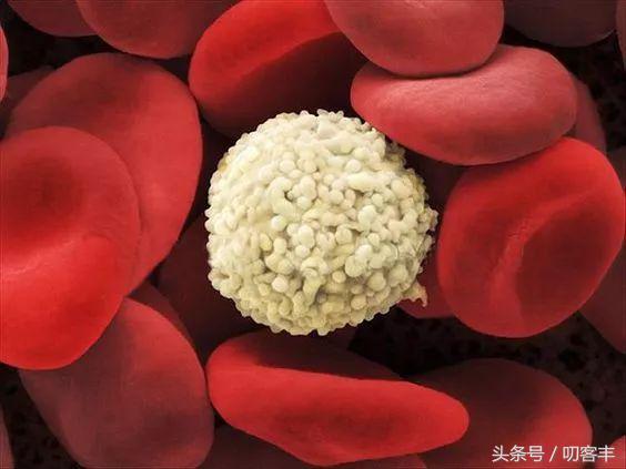 孩子血常规检查白细胞高就是细菌感染吗？