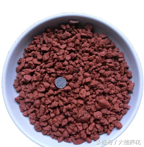 为何总种不好多肉?深扒多肉颗粒土那点事儿