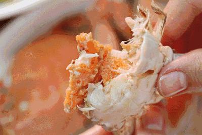 舌尖上的美食青岛完整版,舌尖上的青岛西海岸美食