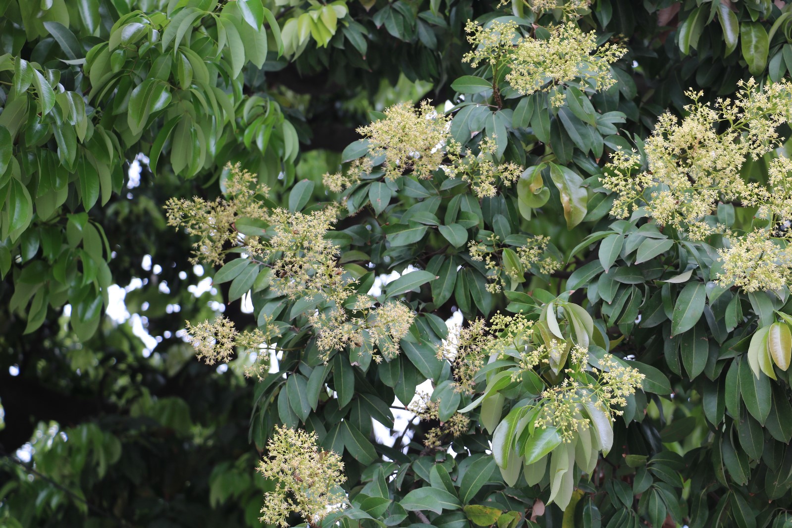 娴风彔浠戝ご,娴风彔鏂版粯浠戝ご