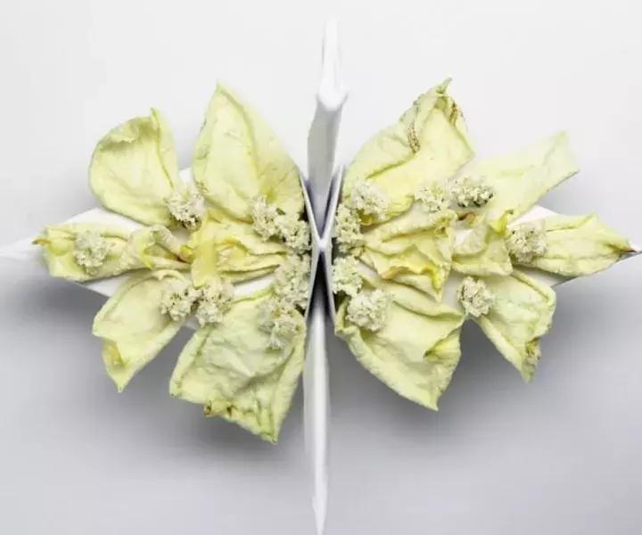 他用3个月时间，折叠了1000只千纸鹤，送给了他最亲爱的姑娘